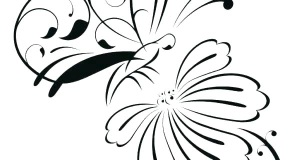 570x320 Outline Of Flowers Simple Rose Outline Simple Rose Outline Drawing