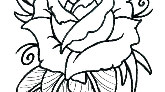570x320 Rose Outline Drawing Google Search Flowers Easy Flower To Draw