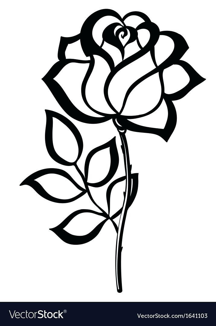 716x1080 rose outlines rose outlines pictures rose tattoo outline images