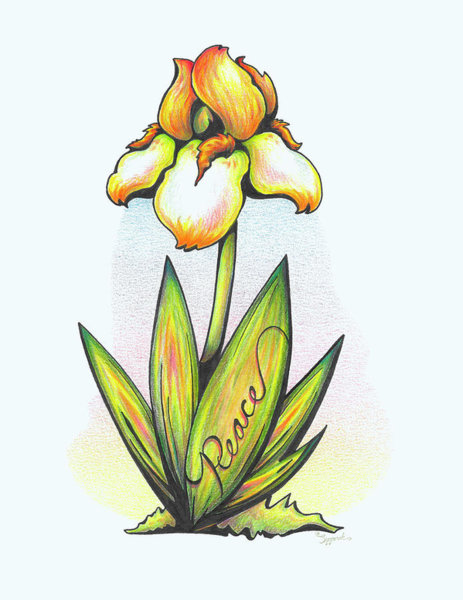 463x600 Pastel Flower Drawings