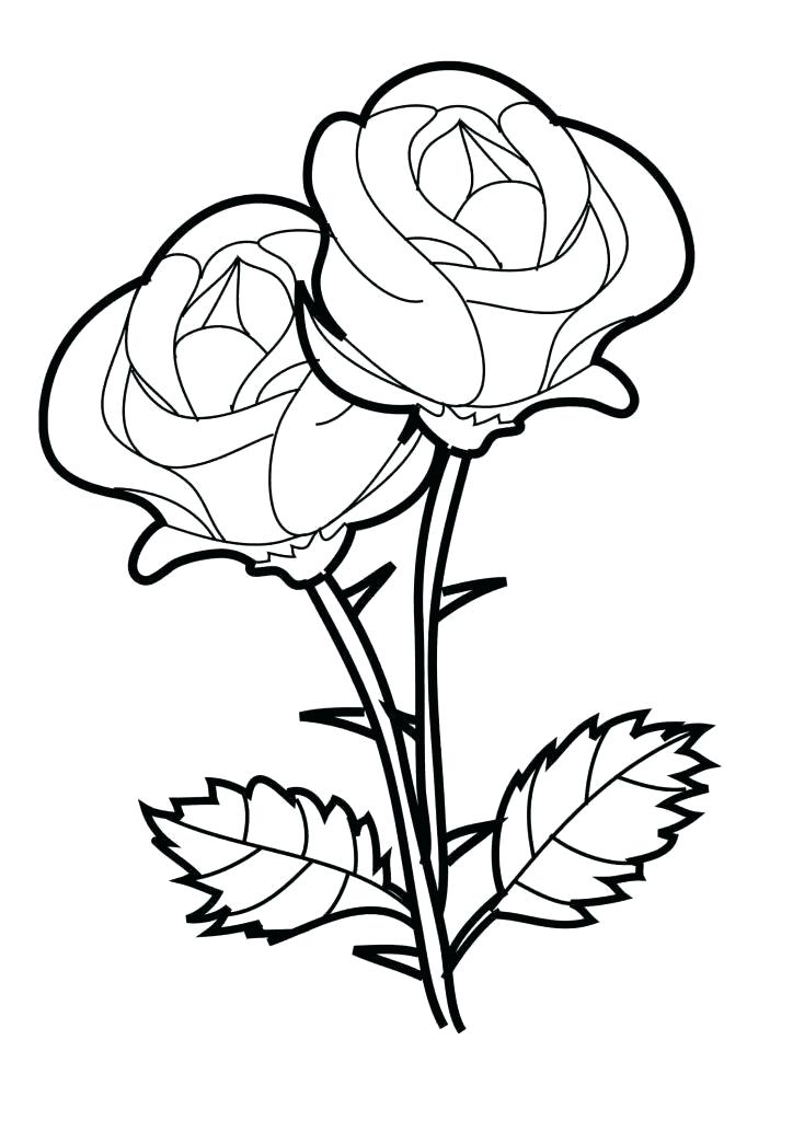 724x1024 Flowers To Draw Easy