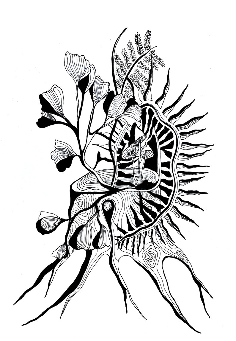 794x1145 Ferns And Flowers Pen And Ink Drawing Mushrooms Black And Etsy