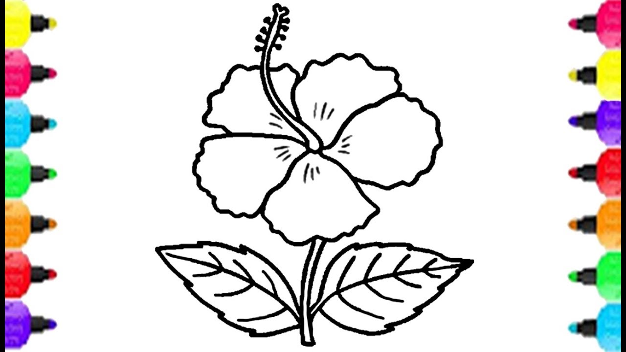1280x720 Flower Coloring Pages Coloring Hibiscus With Marker Pen Learn