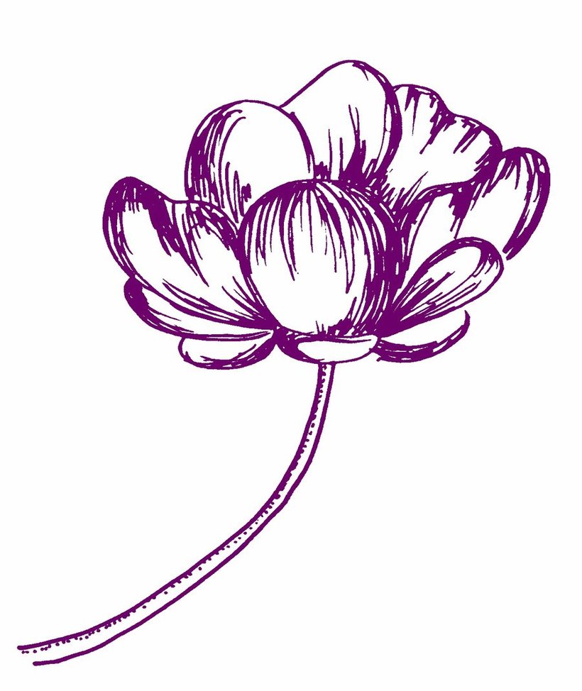 820x974 Flower Pen Cliparts