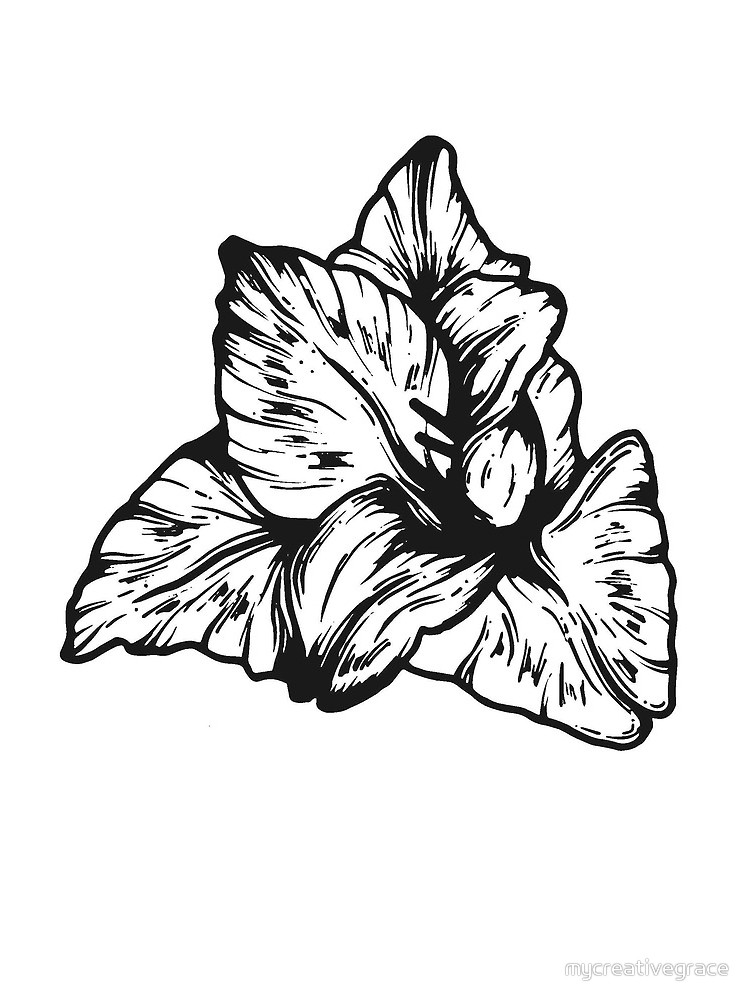 750x1000 Gladiolus August Birth Flower