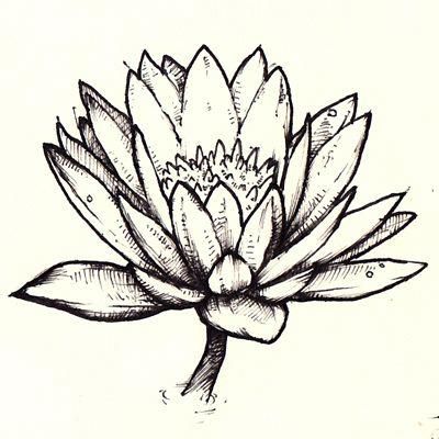 400x400 lotus flower drawing pen drawing of a lotus flower for lotus