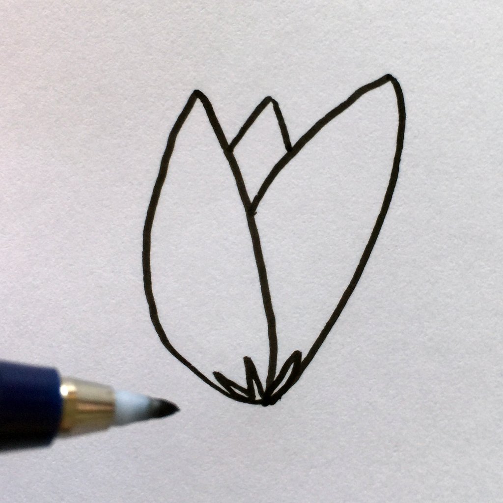 1024x1024 Simple Steps For Drawing Flowers