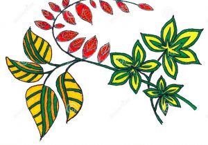 300x210 Abstract Pen Drawings Of Flowers Abstract Flower Pattern Line