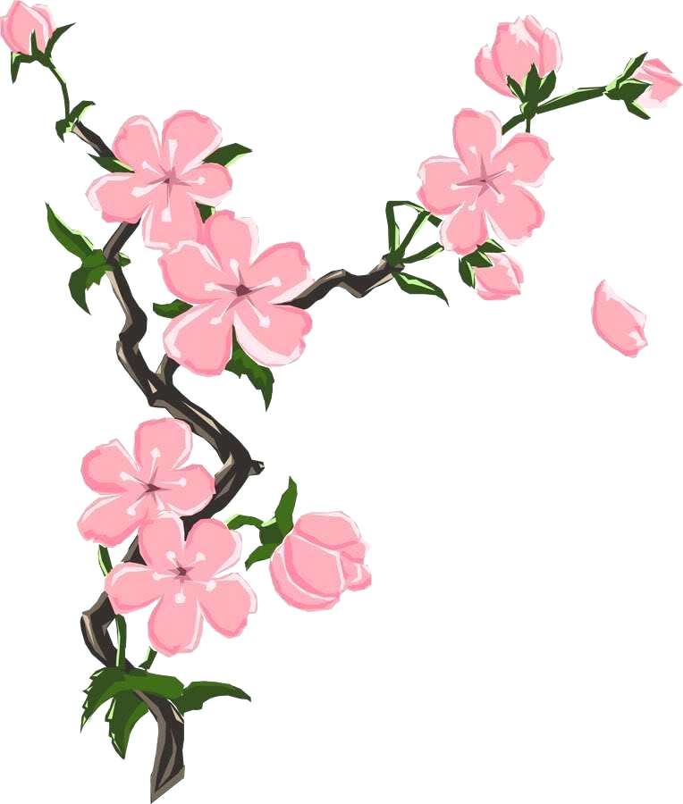 764x900 Flower Drawing Clipart Flower Drawings For Kids Library Flower