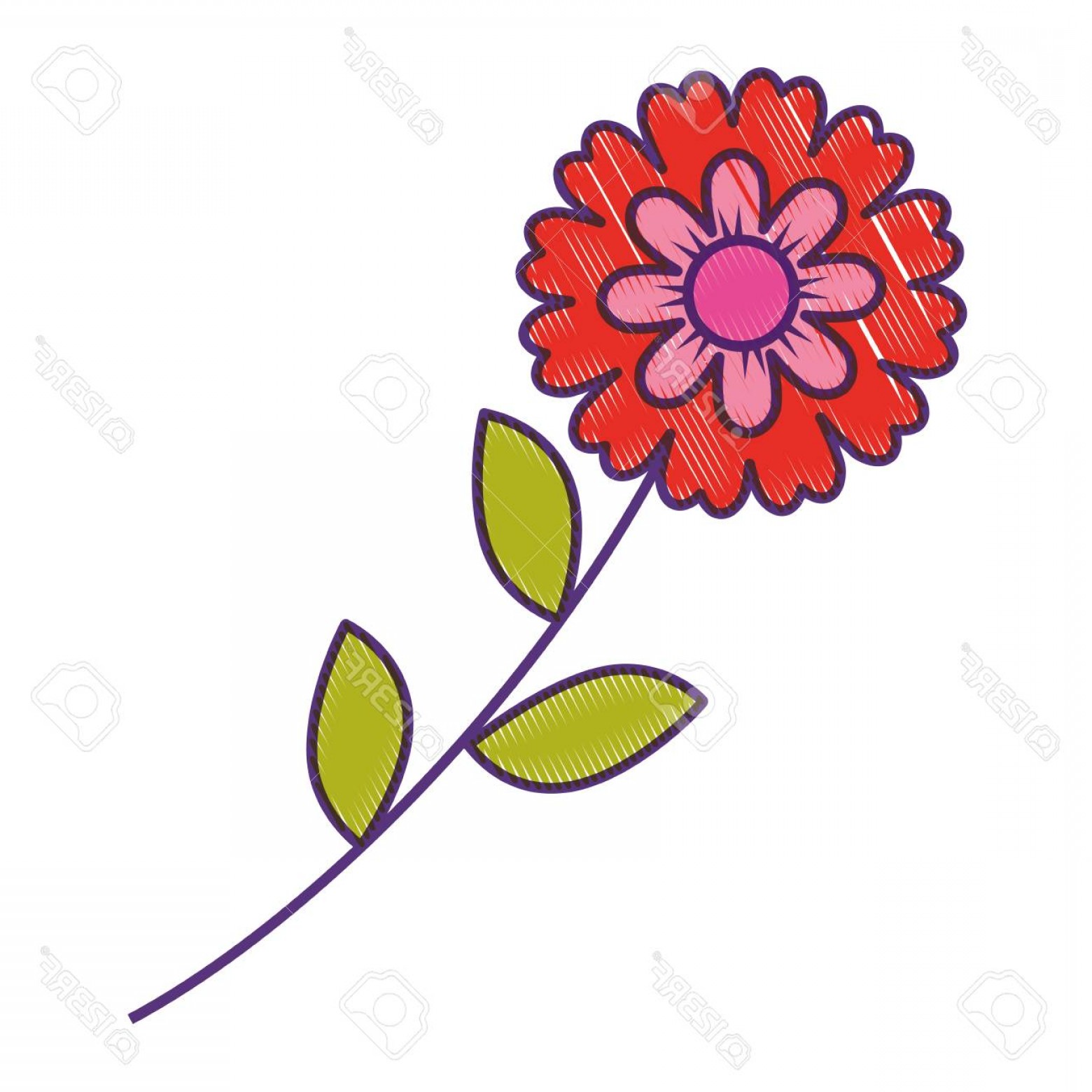 1560x1560 Photostock Vector Flower Stem Leaves Nature Petals Decoration