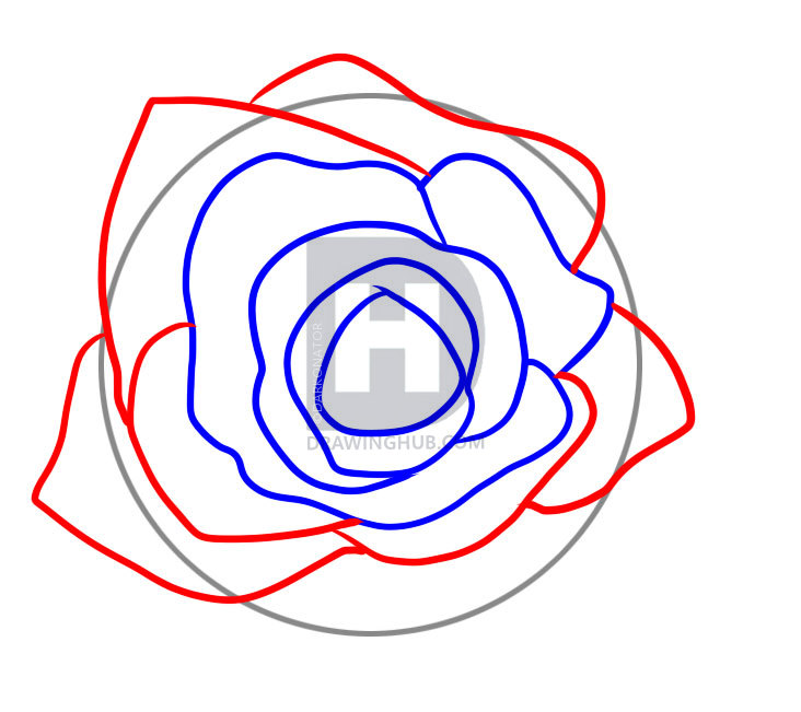 732x651 Draw Rose Petals, Step