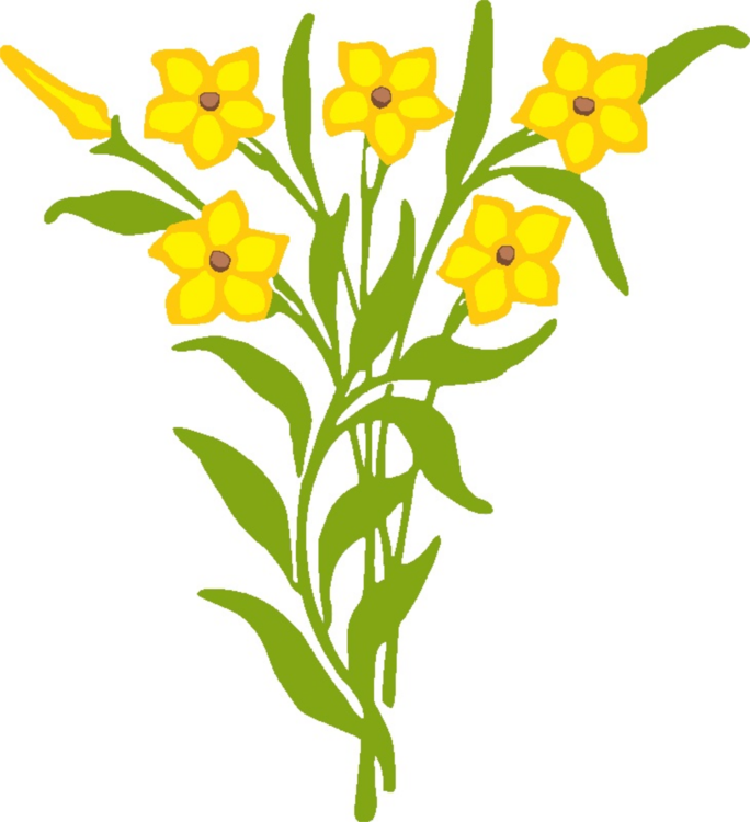 684x750 Drawing Flower Bouquet Line Art Cc0