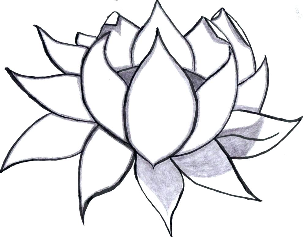 990x777 Easy Drawings Flowers Download