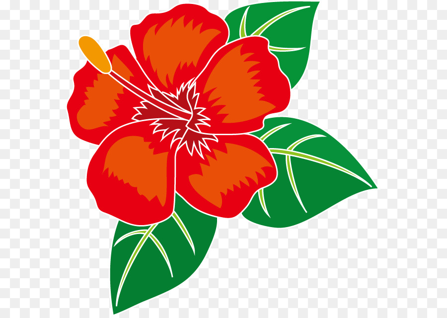 900x640 Flower, Drawing, Plant, Transparent Png Image Clipart Free Download