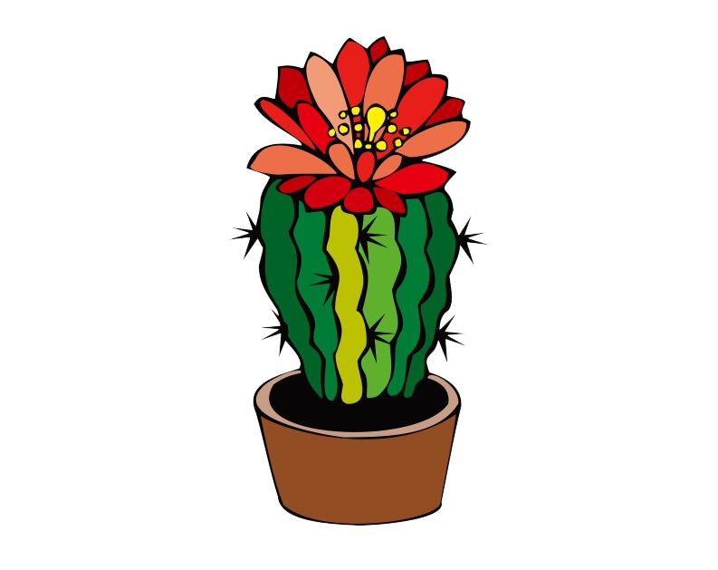 793x629 Cactus Flower Drawing Pictures And Cliparts, Download Free