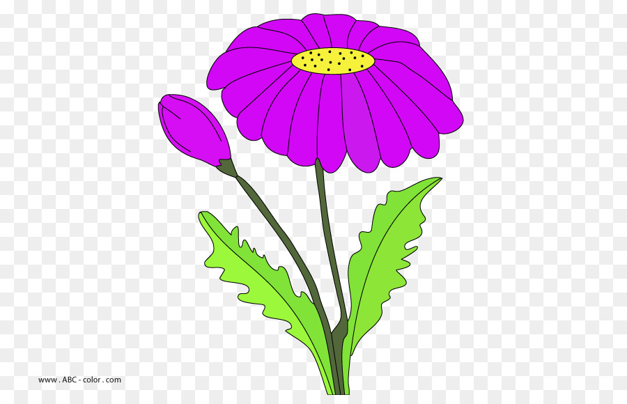 900x580 Drawing, Flower, Plant, Transparent Png Image Clipart Free Download