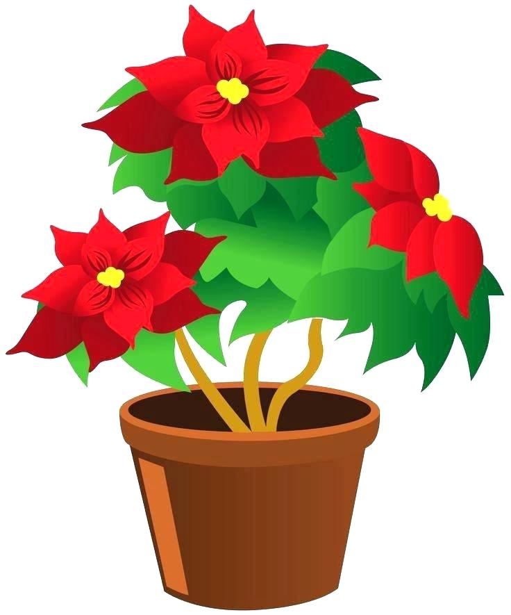 736x885 Turtle Flower Pot In A Holder Drawing Hangers Ninja Ha Meibes Club