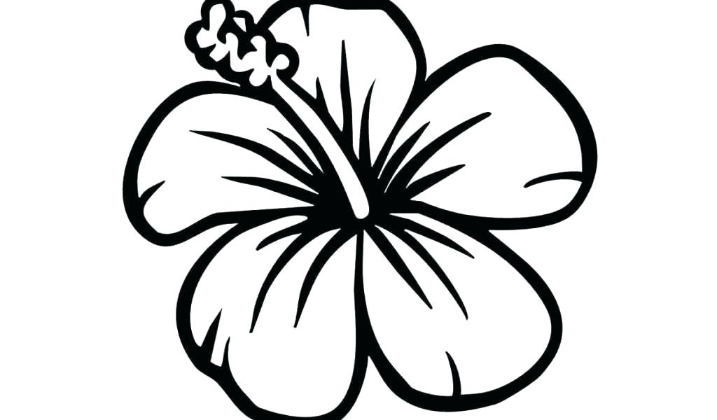 1024x600 Easy Flower Drawings Cool Easy Flower Drawings On Canvas Zupa