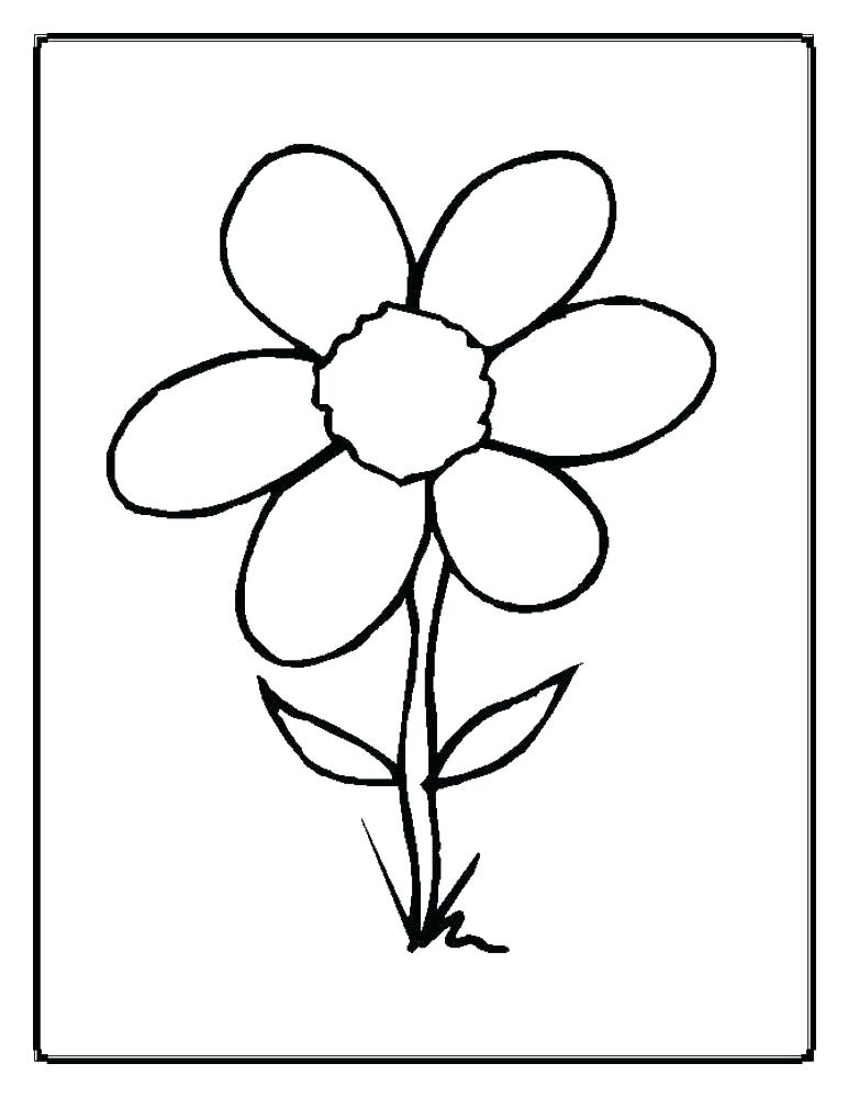 772x999 flower pot color pages flower pot coloring pages colouring picture
