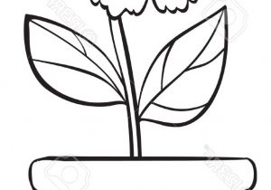 Flower Pot Drawing For Kid | Free download on ClipArtMag