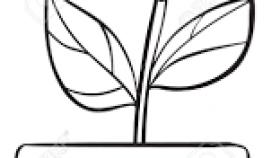 280x158 How To Make Flower Pot Drawing Easy How