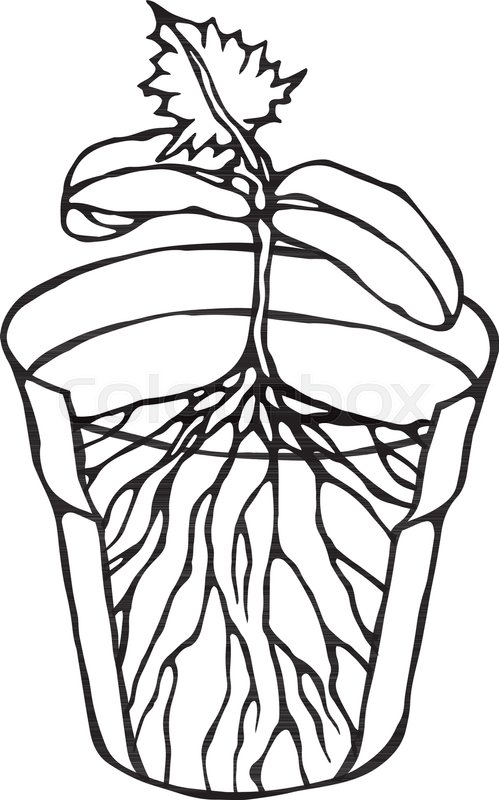 499x800 Flower Pot With Soil Seed, Sprout Stock Vector Colourbox