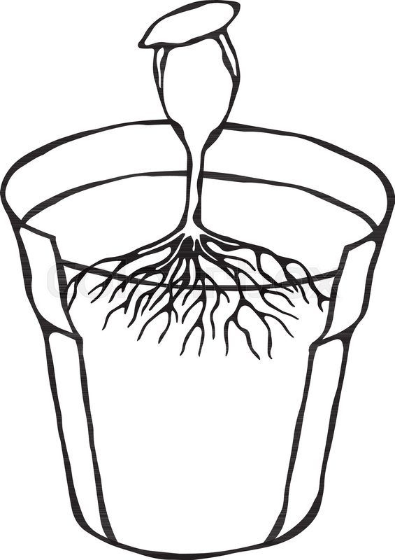 565x800 Flower Pot With Soil Seed, Sprout And Stock Vector Colourbox