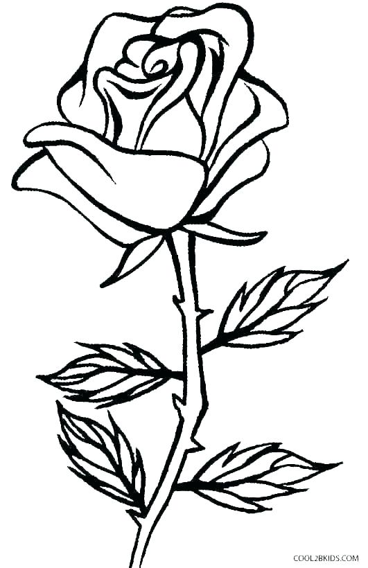531x820 Flower To Draw Easy Coloring How To Draw Flower Pot In Easy Way