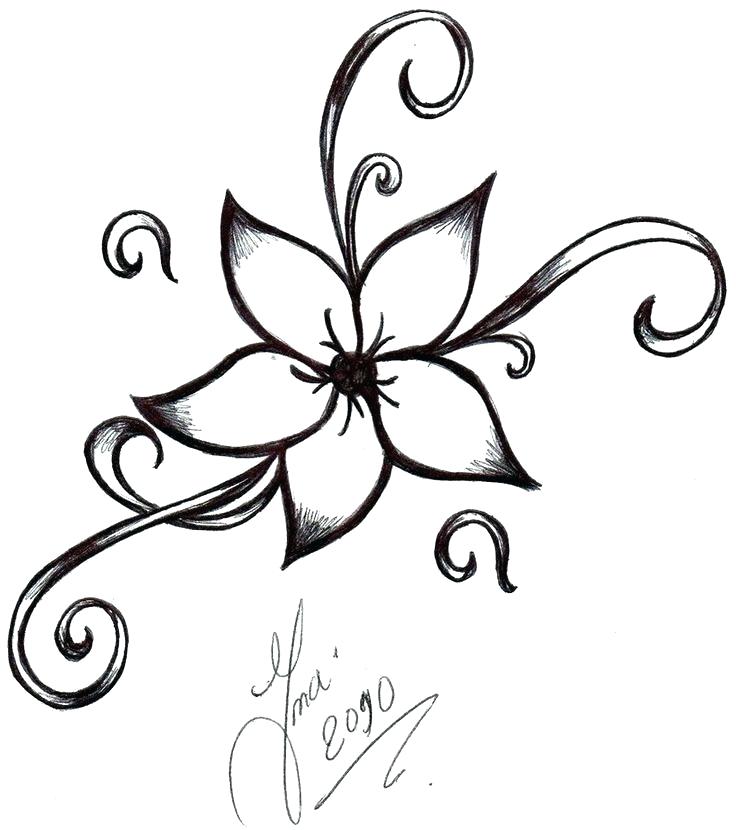 736x830 How To Draw Simple Flower How To Draw Simple Flowers Step Draw