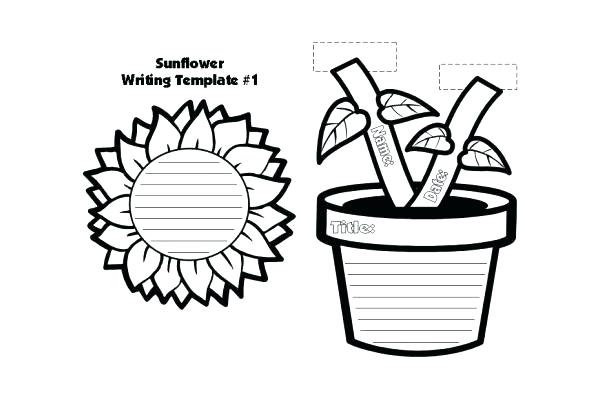 600x400 Line Drawing Pics Best Flower Pot Template Coloring Pages