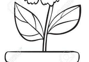 300x210 The Drawing Of Flower Pot Line Drawings Of Flowers In Vases