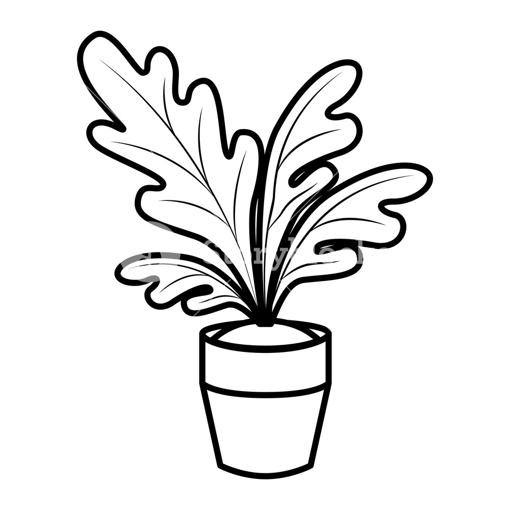 1000x1000 House Plant Pot Isolated Icon Vector Illustration Desing Royalty