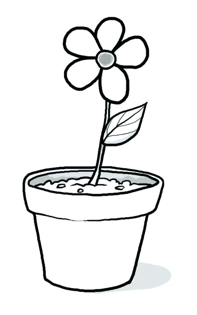 642x1024 Black And White Pot Black And White Cactus In Pot With Line Art