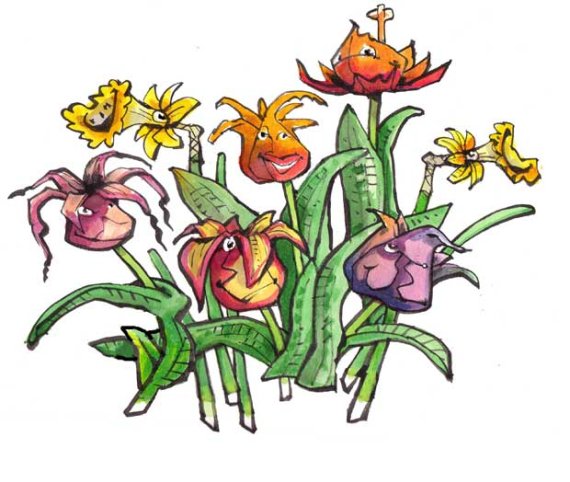 570x482 Flower Power