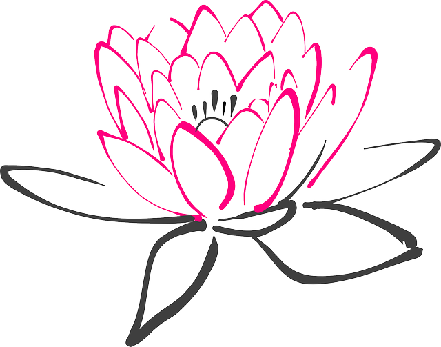 640x503 Collection Of Free Roots Drawing Water Lily Download On Ui Ex