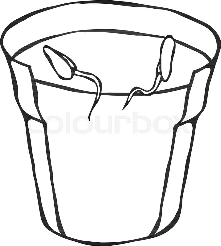 716x800 Flower Pot With Soil Two Seed, Stock Vector Colourbox