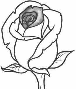 260x302 How To Sketch A Rose Recipe Pencil Drawings, Art, Art Drawings