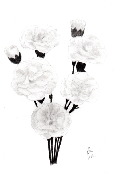 403x625 Shading Kate's Art Corner