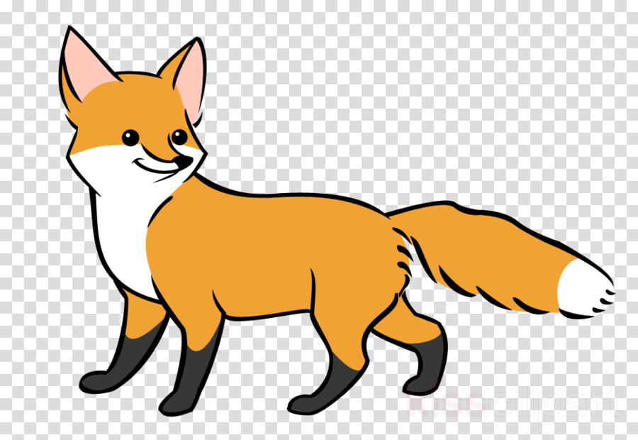 900x620 Fox, Transparent Png Image Clipart Free Download