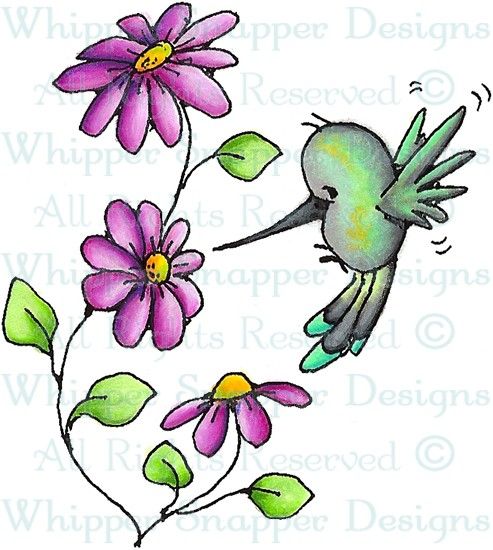 493x550 Hailey Hummingbird