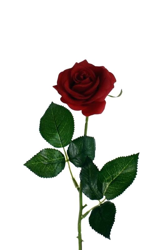 533x800 Flower With Stem Tattoo