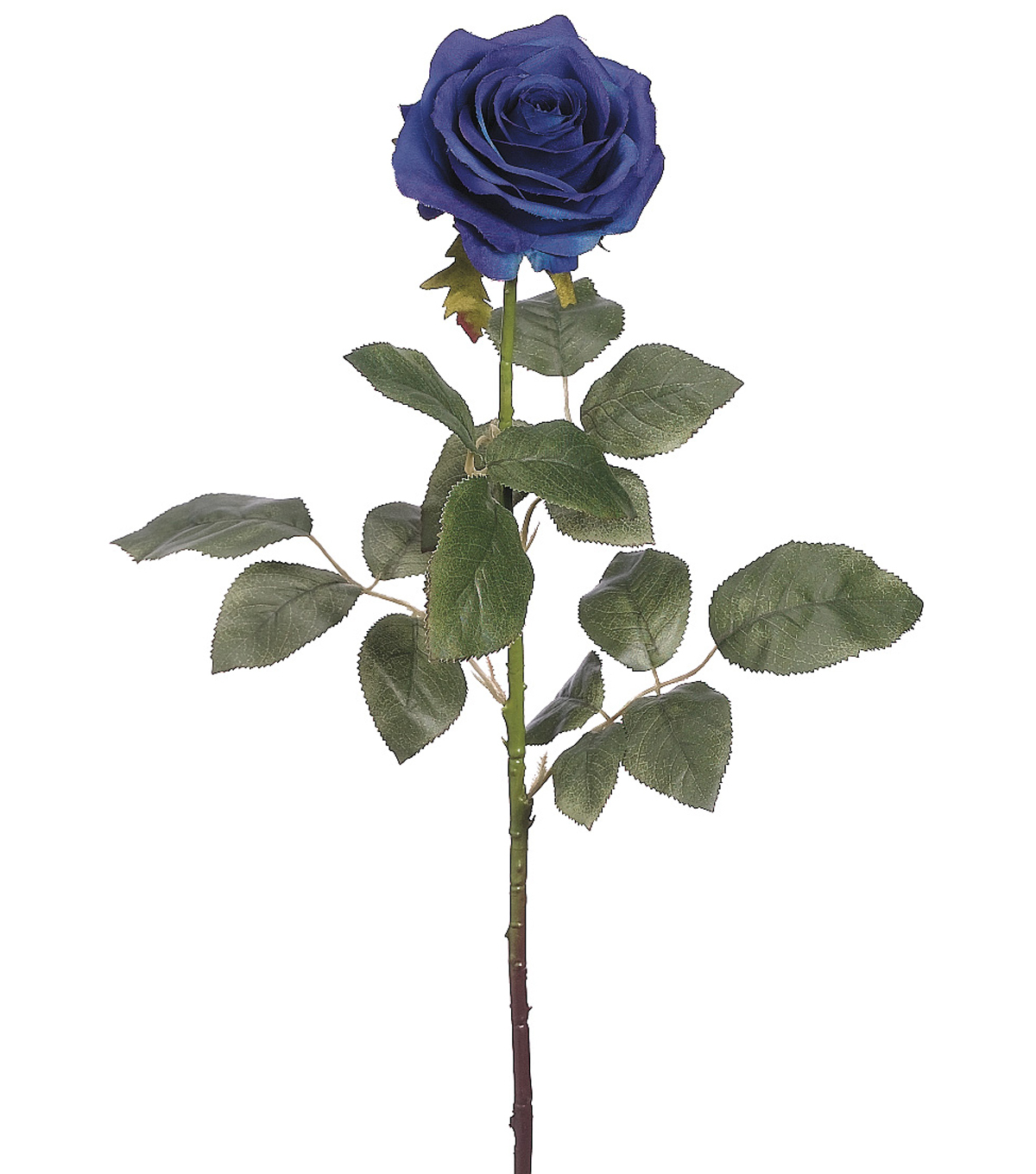 1200x1360 Rose With Stem Drawing