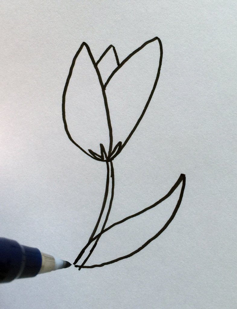 785x1024 Simple Steps For Drawing Flowers