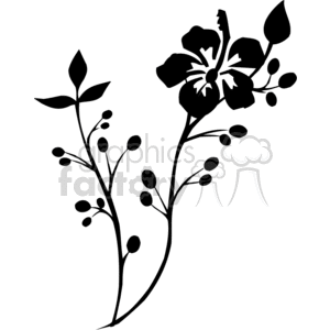 300x300 Black Drawing Of A Hibiscus Flower On A Branch Clipart Royalty
