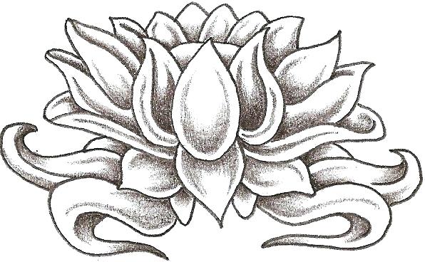 596x368 Lotus Drawing Lotus Flower Temporary Tattoo Hand Drawn Henna Style