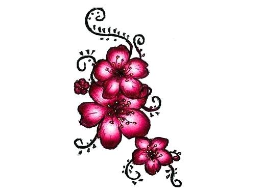515x385 Drawings Of Japanese Cherry Blossoms Cherry Blossom Tattoo Draw
