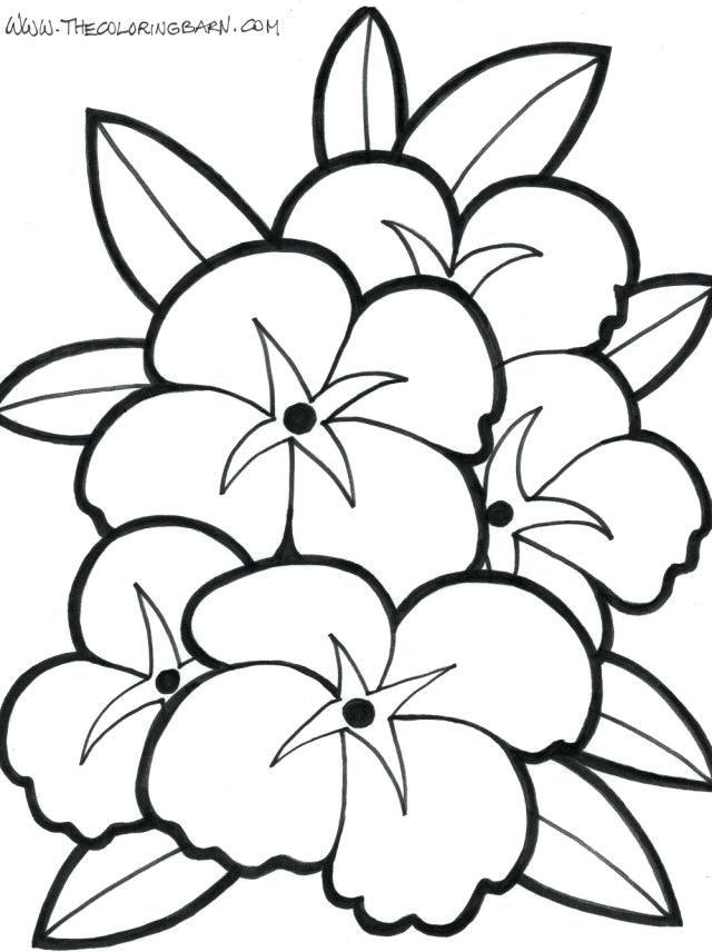 640x856 Hawaiian Flowers Drawing Pretty Tattoo Flower Tattoos Tribal