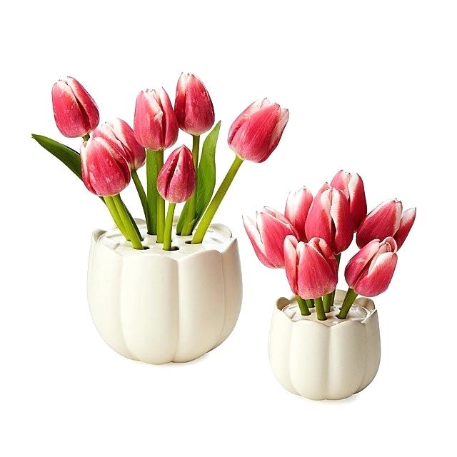 640x640 Ceramic Tulip Flower Vase Images Picture Drawing Acehnews