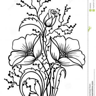 336x336 Sunflower Drawing Black And White Pencil Flower Images Vine