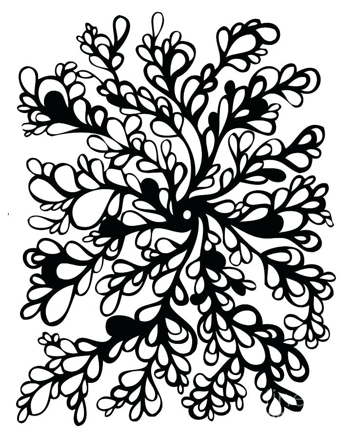 728x900 Vines Drawing